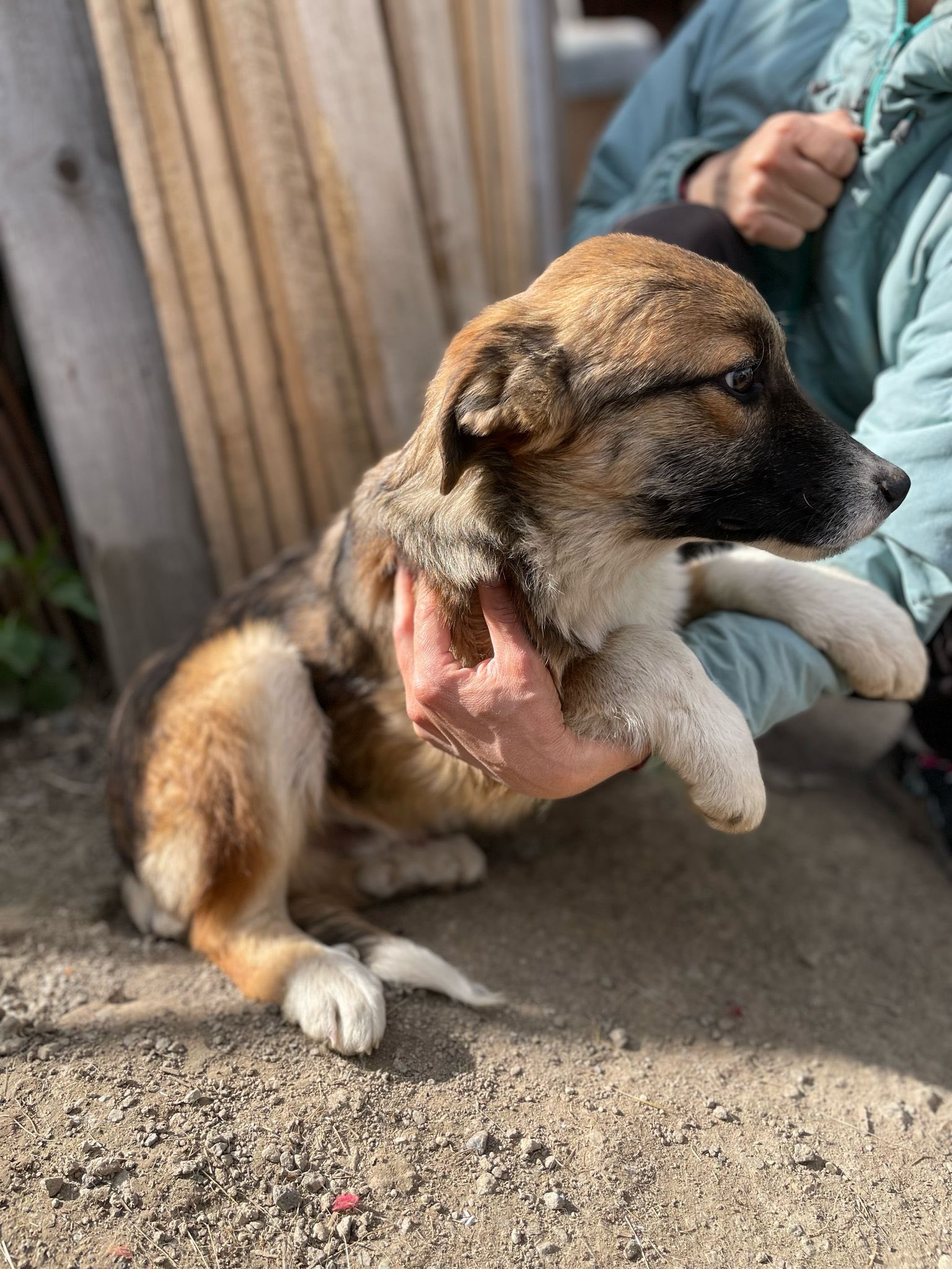 Lieber Bub mit Nickname Flower-Head wurde auf dem Feld geboren – Bild 11