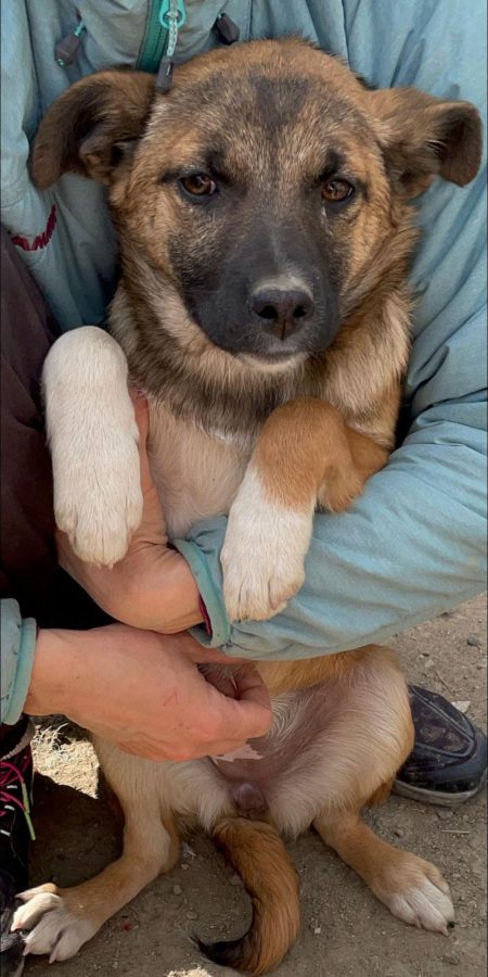 Tiny-Girl wurde auf dem Feld geboren