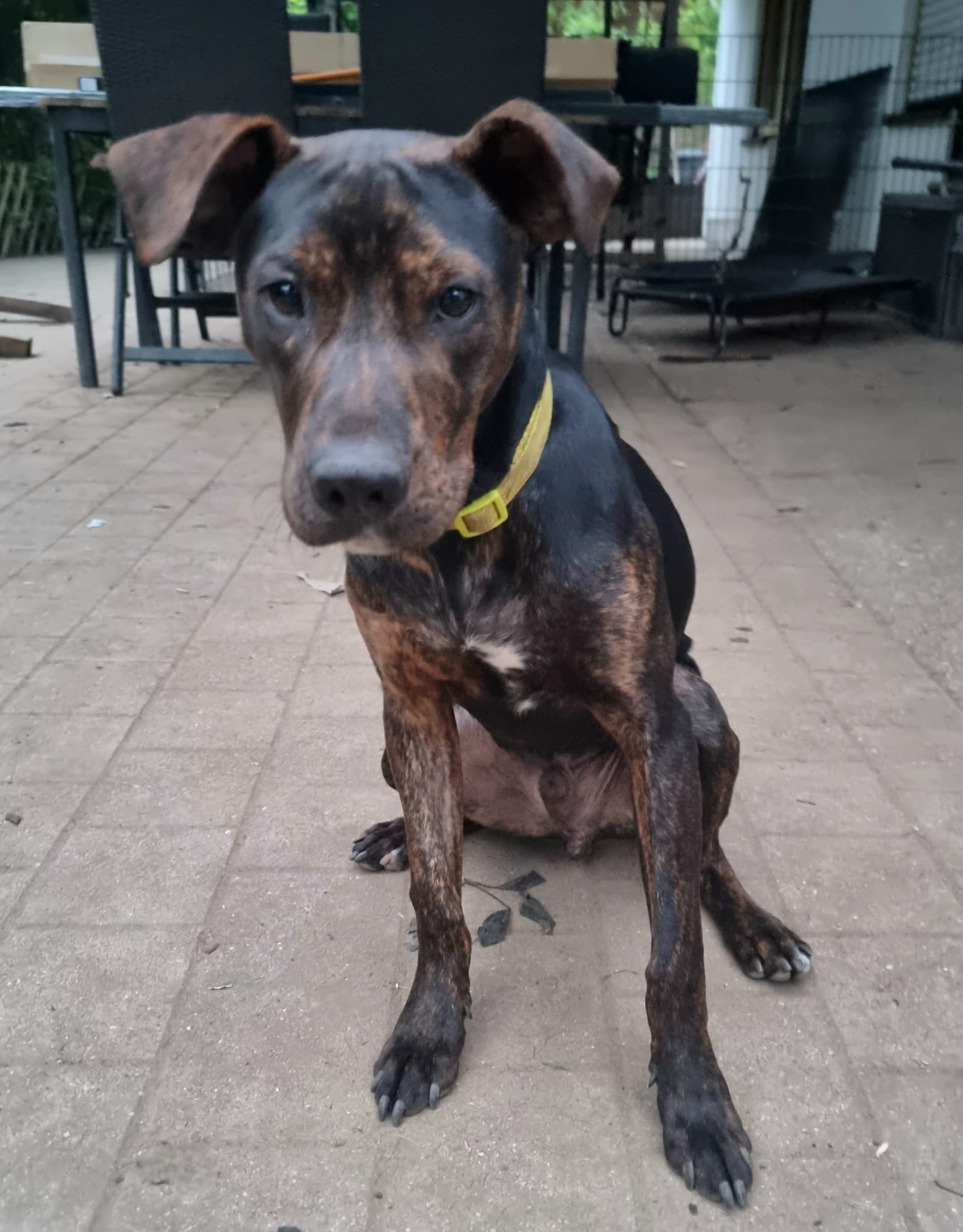 Lieber Billie will einfach nur gefallen – Bild 7