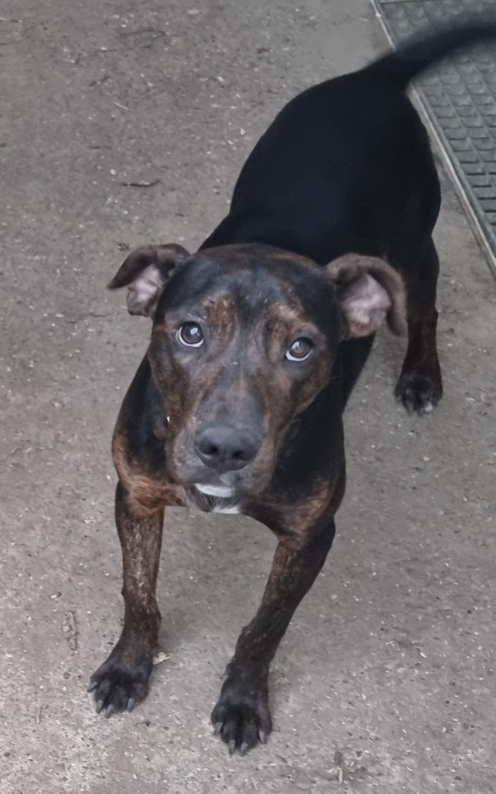 Lieber Billie will einfach nur gefallen – Bild 8