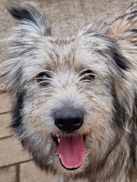 Sunja, einfach nur lieb und sehr menschenbezogen